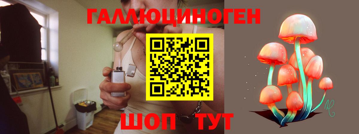 Псилоцибиновые грибы Psilocybine cubensis Пыть-Ях